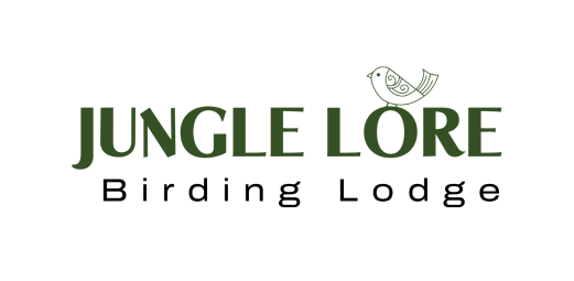 Jungle Lore Birding Lodge